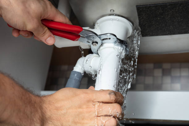 Best Water damage cleanup near me  in Faribault, MN