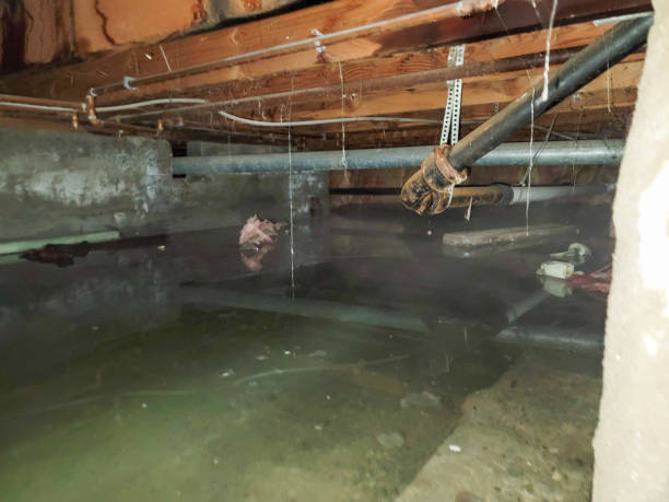 Best 24/7 water damage repair  in Faribault, MN