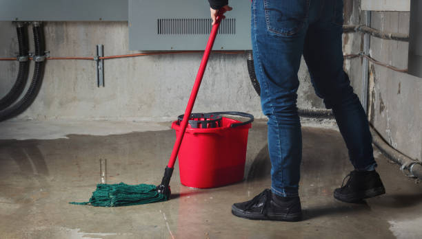 Best Commercial water damage restoration  in Faribault, MN