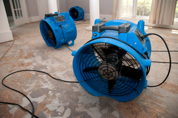 Best Local water damage restoration  in Faribault, MN