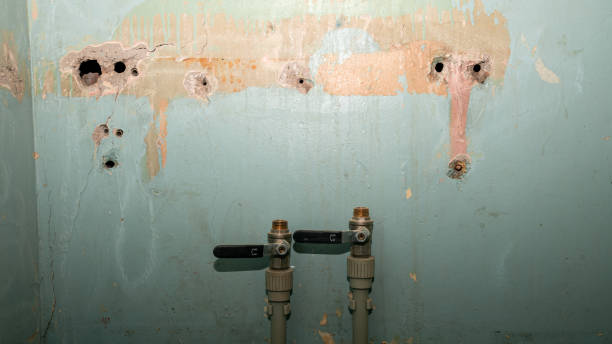Best Fire Damage Restoration  in Faribault, MN