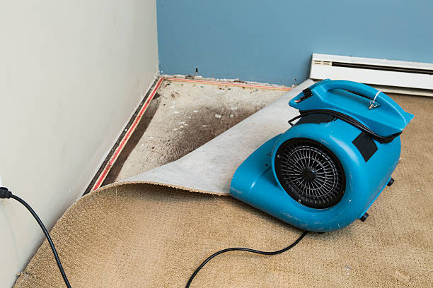 Best Water damage restoration near me  in Faribault, MN